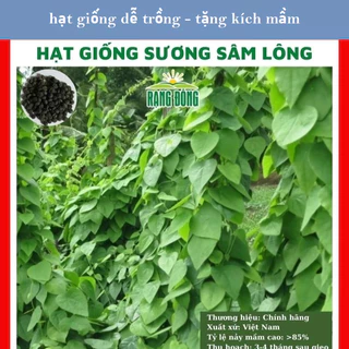 Hạt giống sương sâm lông - GÓI 0,5G