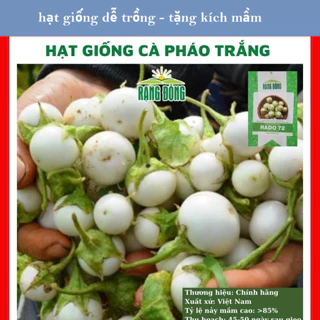 Hạt giống cà pháo trắng -gói 30 hạt