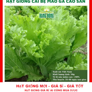 Hạt giống rau cải bẹ mào gà cao sản ngon ngọt - 10gr RADO 101 TẶNG KÍCH MẦM