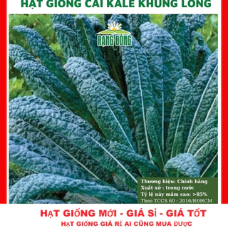 Hạt giống cải kale khủng long -gói 150 hạt TẶNG KÍCH MẦM