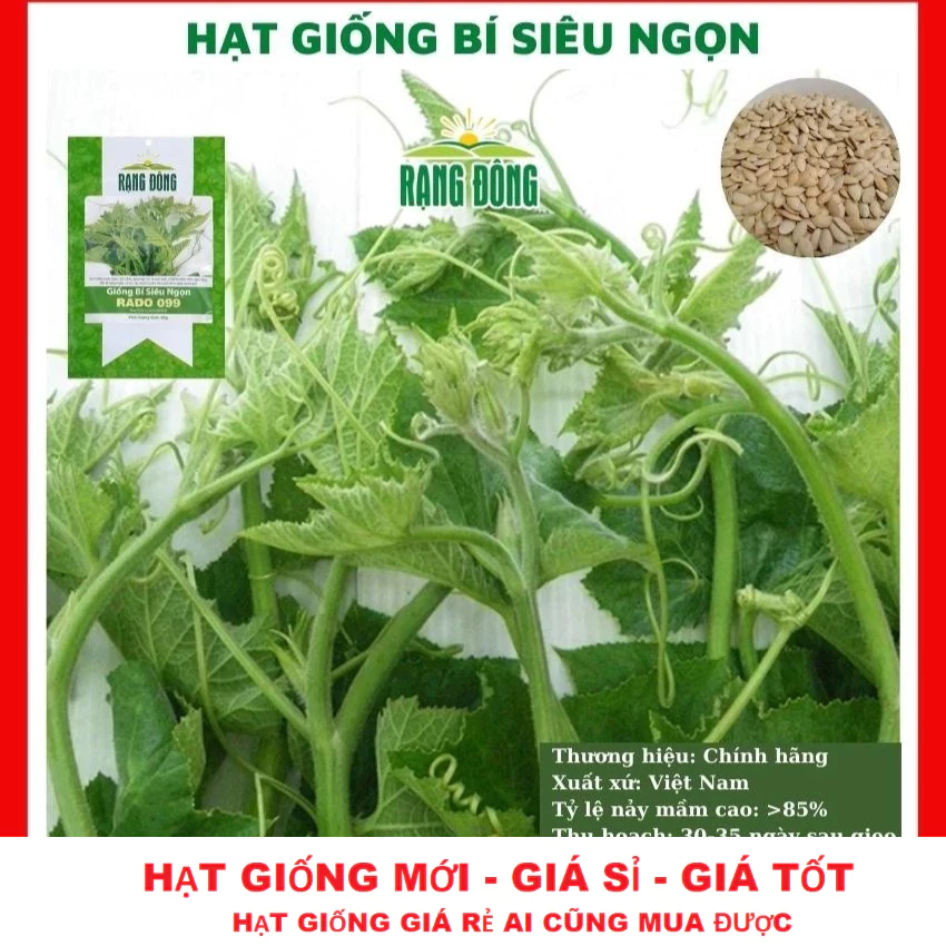 Hạt giống bí siêu ngọn giòn ngọt - GÓI 10G TẶNG KÍCH MẦM