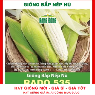 Hạt giống bắp nếp nù - GÓI 20 HẠT TẶNG KÍCH MẦM