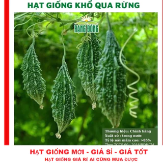 Hạt giống khổ qua rừng - GÓI 10 HẠT TẶNG KÍCH MẦM