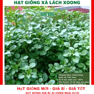 Hạt giống cải xoong (xà lách xoong) - GÓI 200 HẠT TẶNG KÍCH MẦM