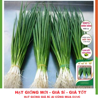 Hạt giống hành lá cao sản - GÓI 200 HẠT TẶNG KÍCH MẦM