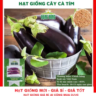 Hạt giống cà tím dài - GÓI 30 HẠT TẶNG KÍCH MẦM