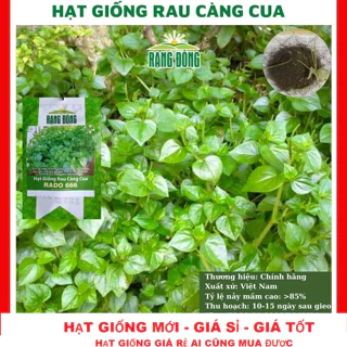 Hạt giống rau càng cua - gói 200 hạt TẶNG KÍCH MẦM