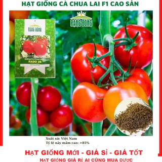 Hạt giống cà chua siêu quả lai F1 - GÓI 30 HẠT tặng kèm kích mầm