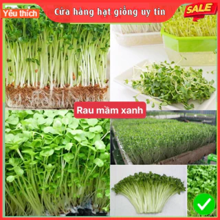 Hạt giống rau mầm xanh dễ trồng kháng bệnh tốt năng suất cao gói 300 hạt cửa hàng hạt giống uy tín