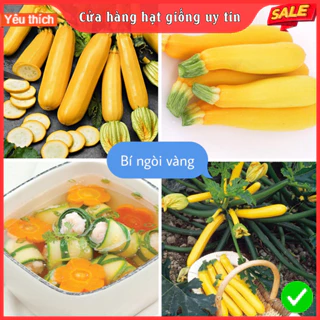 Hạt Giống Bí Ngòi Vàng F1 loại siêu trái dễ trồng năng suất cao chống sâu bệnh