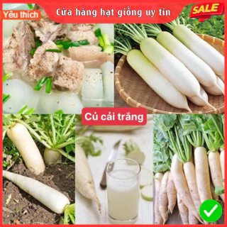 [Gói 300 hạt] Hạt Giống Củ Cải Trắng F1 Siêu Dễ Trồng Dễ Chăm Sóc Tặng kèm Hướng Dẫn Trồng