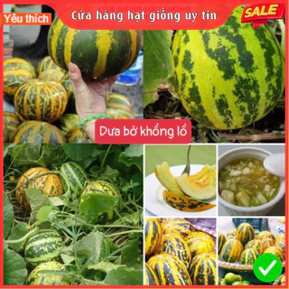 [Gói 50 hạt] Hạt Giống Dưa Bở Khổng Lồ F1 Loại Siêu Dễ Trồng & Dễ Thu Hoạch Tặng kèm Hướng Dẫn Trồng