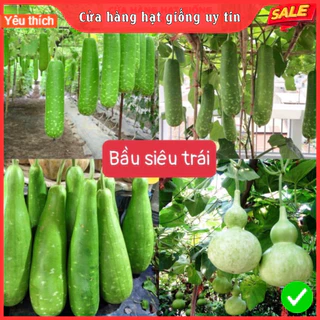 Hạt giống bầu F1 Loại siêu trái dễ trồng năng suất cao kháng sâu bệnh [ Gói 50gram,100gram,200gram ]