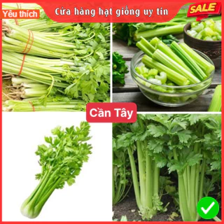 Hạt Giống Cân Tây F1 Dễ Trồng Năng Suất Cao