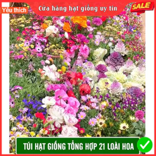 Hạt Giống Hoa Tổng Hợp 21 Loại hoa siêu đẹp dễ trồng tỉ lệ nảy mầm 98% hoa nở 4 mùa (Gói 500 hạt)