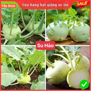 Hạt Giống Su Hào F1 Dễ Trồng Năng Suất Cao