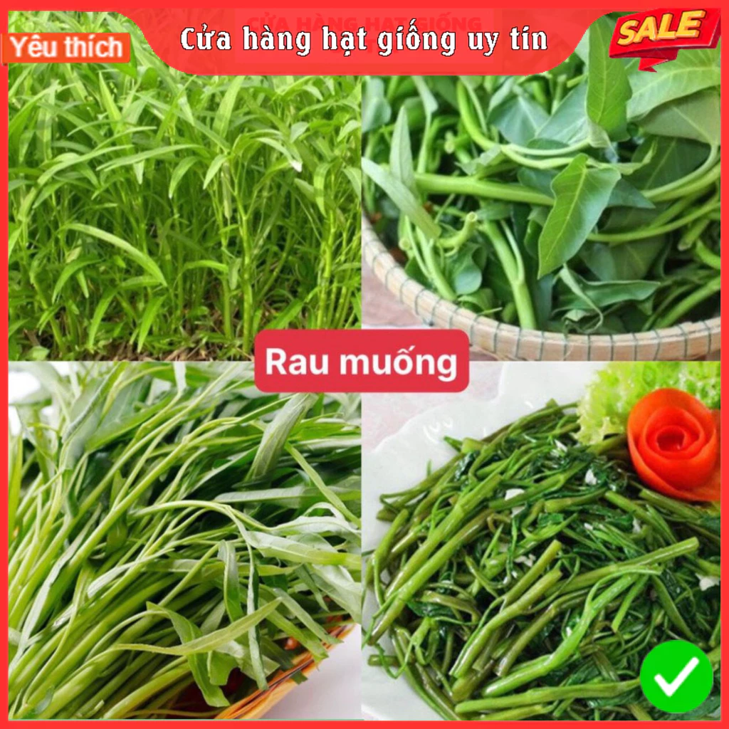 Hạt giống rau muống F1 loại dễ trồng năng suất cao kháng sâu bệnh (gói 500gram,1kg)