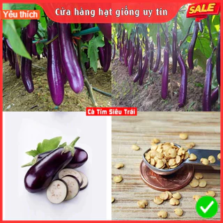 HẠT GIỐNG CÀ TÍM QUẢ DÀI SIÊU TRÁI F1 LOẠI SIÊU NĂNG SUẤT DỄ TRỒNG KHÁNG SÂU BỆNH