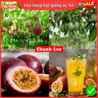 HẠT GIỐNG CHANH LEO F1 LOẠI SIÊU NĂNG SUẤT DỄ TRỒNG KHÁNG SÂU BỆNH