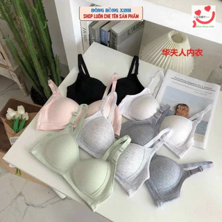 (Tăng size) Áo lót nữ cotton không gọng, áo ngực mút mỏng học sinh 138