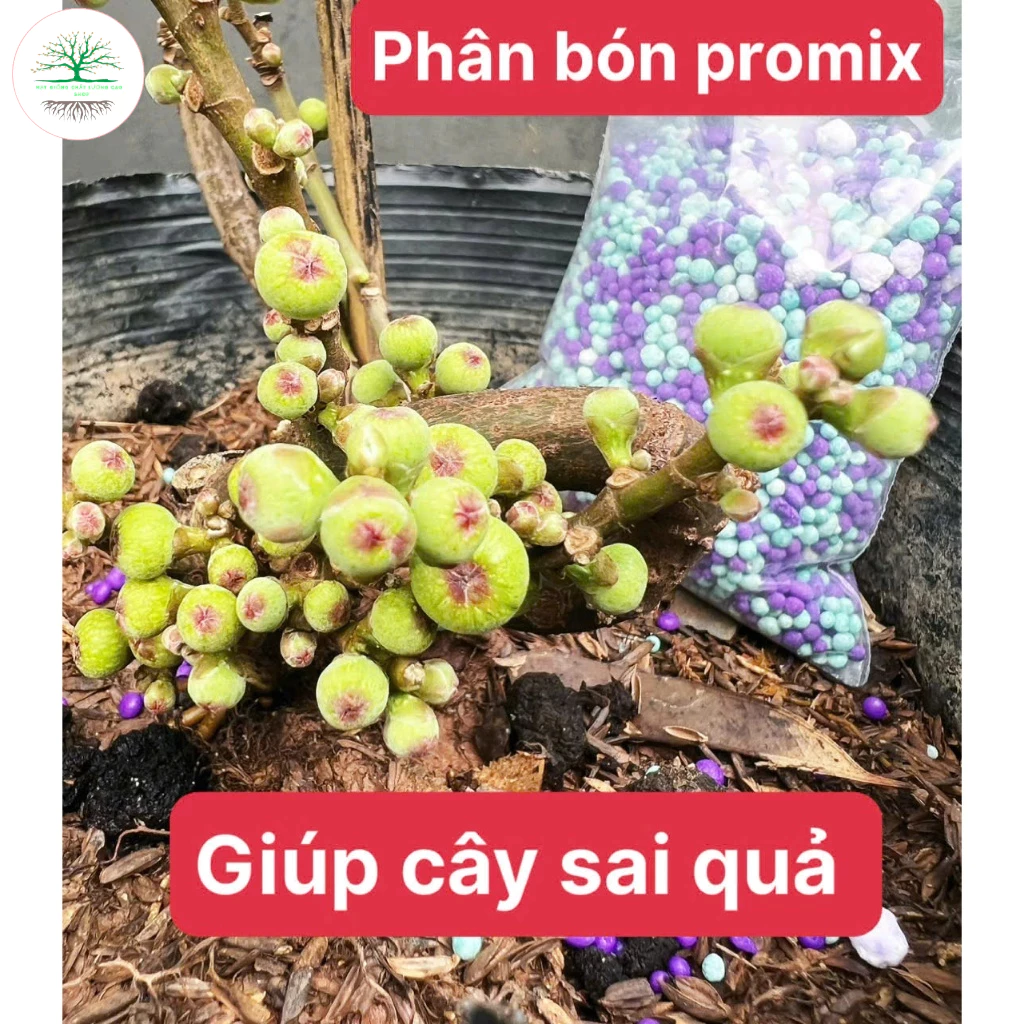 phân pro mix giúp cây sai hoa đậu quả (túi 200g)