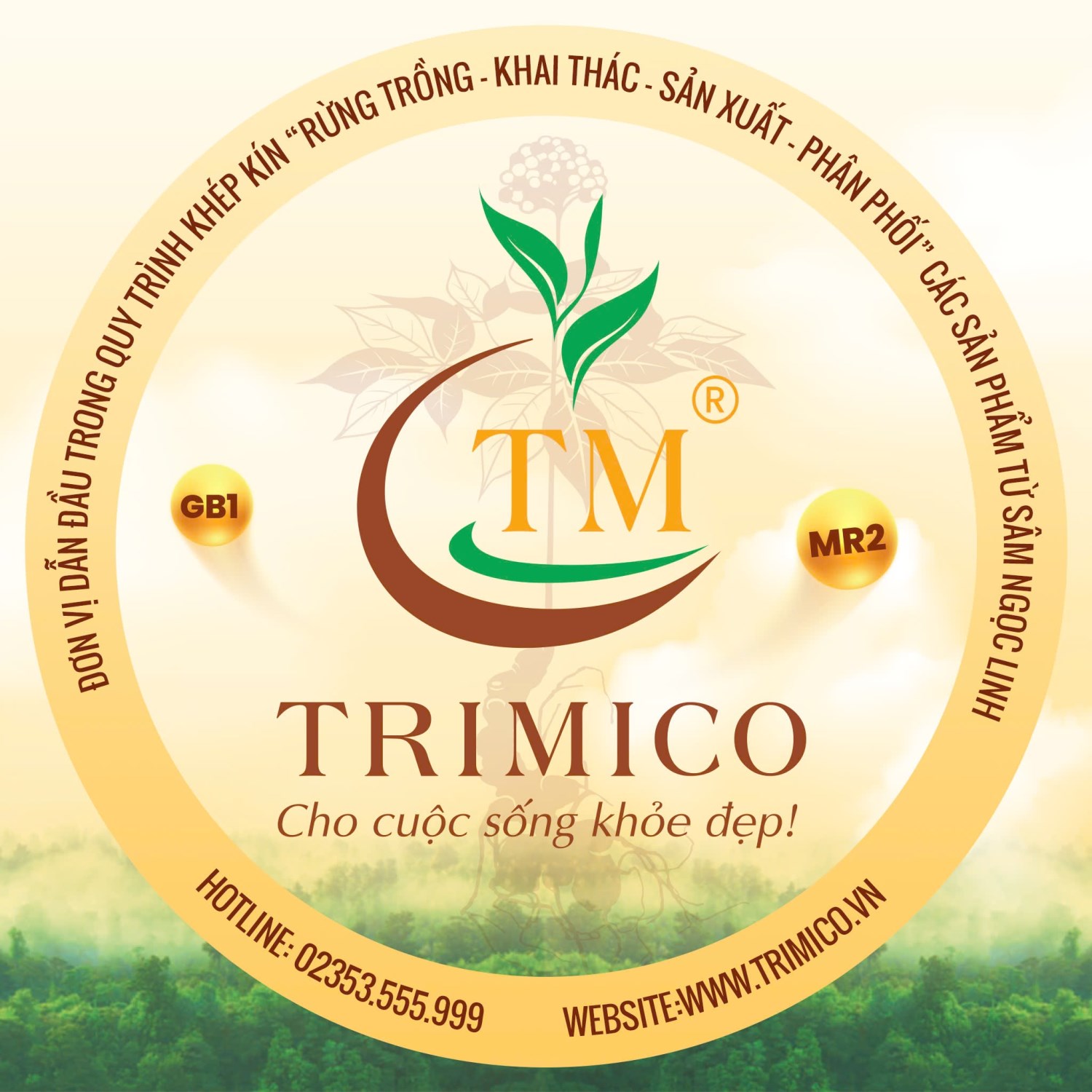 Đà Nẵng Food Tour - Công Ty TNHH Triết Minh (Trimico)