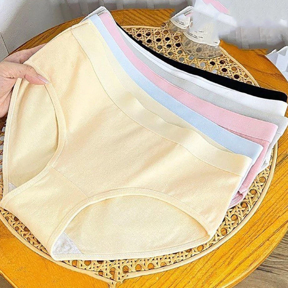 Combo 3 Quần Lót Nữ Cotton Cạp Vừa Quyến Rũ - Set 3 Quần Chip Đáy May 2 Lớp Kháng Khuẩn AMYBRA L2020