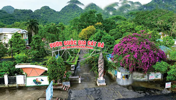 Vườn Quốc gia Cát Bà