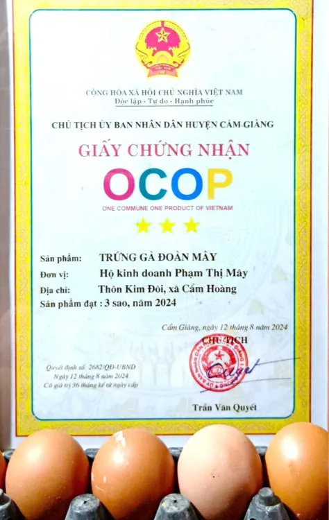 Hộ kinh doanh Phạm Thị Mây